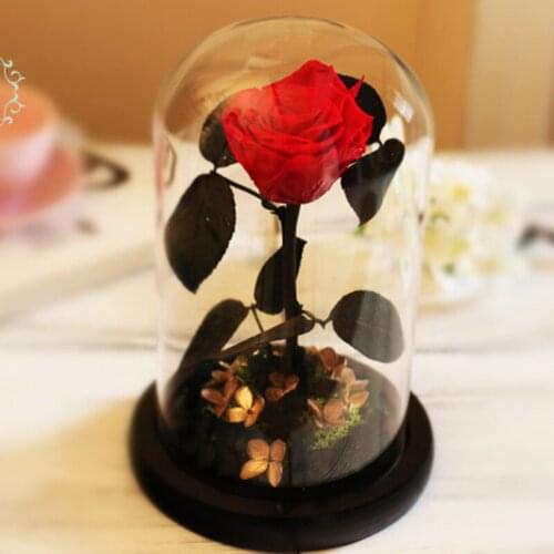 Glass Cover Forever Rose Flower Preserved Immortal Fresh Rose In Glass Vase Cloche Wedding Decorations Valentines Day Gift