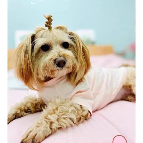 Fashion Dog T-shirt Clothes Pet Puppy Vest Hoodie Jacket Coat For small Medium Dogs Costume Schnauzer Pomeranian Pug Teddy GKC50