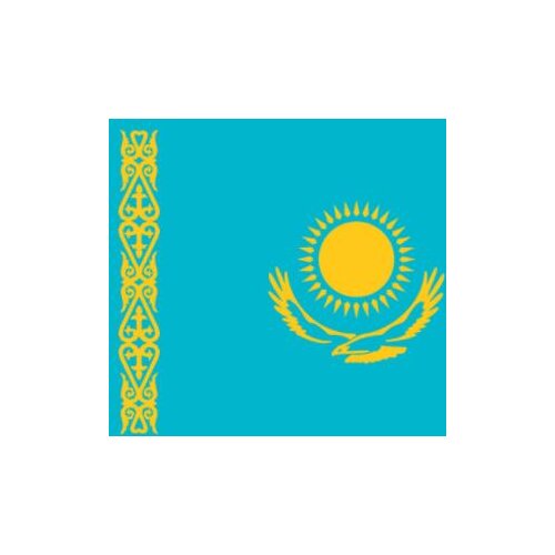 Custom 150X90cm (3x5FT) 100D Polyester Kazakhstan National Flag Polyester home decoration Custom flag banner