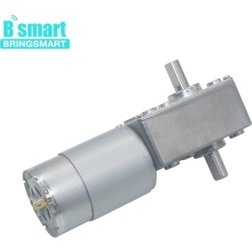 Bringsmart Wholesale A58SW-555S 6- 24v Worm Geared Motor 12v Double Shaft Reverse Motor DIY Robot Door Lock Self-lock Motor