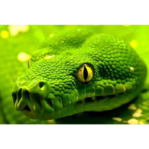 5D Diamond Painting Green Snake Embroidery Handicrafts Mosaic Gift DIY Diamond Embroidery Animal Diamond Wall Arts Decor