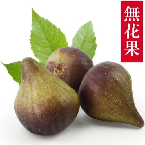 Emulational Fruit Fig Model Fruit Shop Decoration Model Childrens Creative Decoration Model desk decor home decor