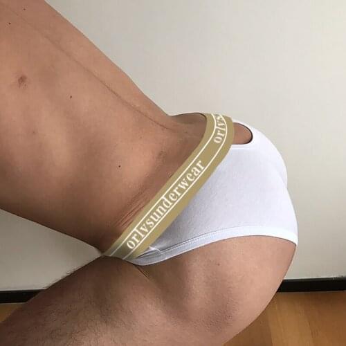 New Sexy Underwear Men Briefs Cotton Hollow Out Back Man Underpants Gay Low Rise Mens Panties Slip Homme Breathable OR6106