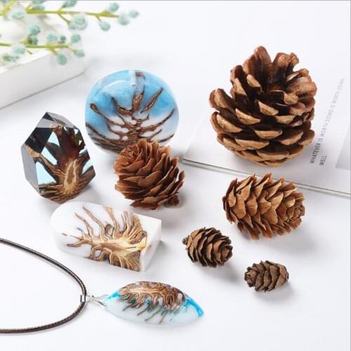 2020 New 3 packs/lot Natural mini pine cones material epoxy mold makeing jewelry filling for DIY jewelry