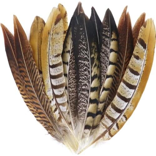 Wholesale 10pcs Pheasant Chicken feathers for crafts 15-30CM Carnival Stage Wedding Dress feather headdress Accessory