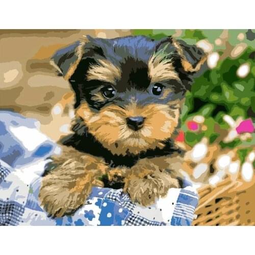 GATYZTORY Black Dog Animal Painting By Numbers Wall Art Picture Canvas By Numbers Handpainted For Home Decors Gift