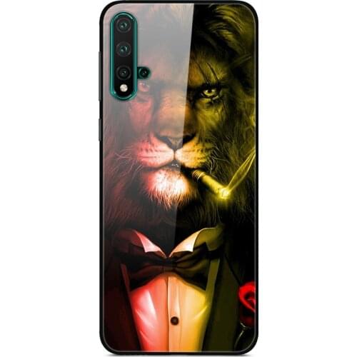 Glass Case For Huawei Nova 5 Phone Case Phone Cover Phone Shell Back Bumper Series 1