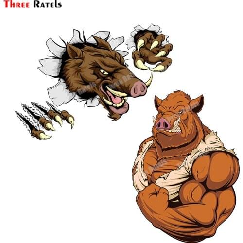 Three Ratels B556 3d Boar Mascot Breaking Through Wall Anime Cartoon Gitfs Stickers Car&Auto Decals