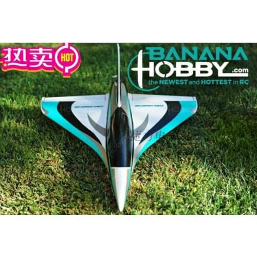 Ready To Fly RTF Version Mini Blackbirds Delta Wing 50mm RC Airplane Jet Toy