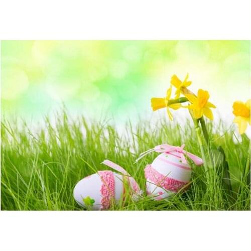 Thin Vinyl Background Happy Easter Attractive Lace Pink Eggs Decoration Grass Flower Green Bokeh Children Photography Background