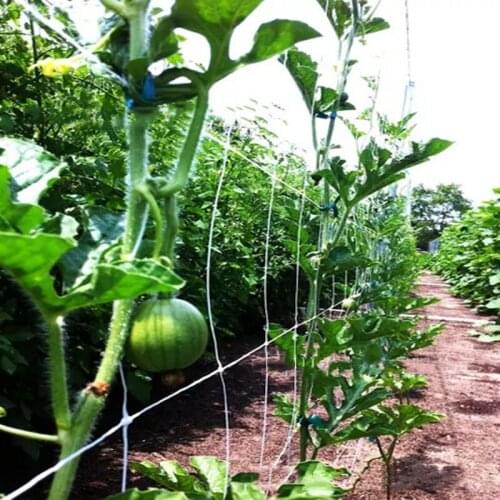 Plant Trellis Netting Heavy-Duty Polyester Plant Support Vine Climbing Hydroponics Garden Net Accessories Polyester Material