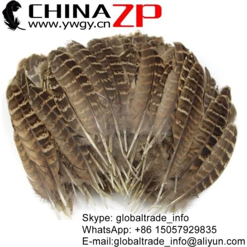 CHINAZP Factory 100pcs/lot Top Quality Natural Ringneck Hen Pheasant Round Quill Wing Feathers for Home Decor