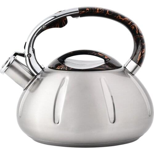 Stainless Steel Water Kettles 3l Whistle Samovar Coffee Thermal Water Kettles Hot Hervidor Agua Kitchen Accessories EH50WK
