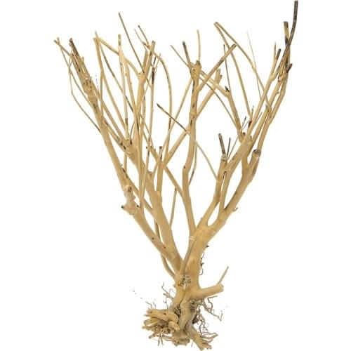 2pcs/set DIY Driftwood Aquarium Moss Tree for Fish Tank Ornament Landscape Bonsai Decoration Fish Aquatic Supplies