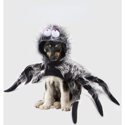 Pet Spider Chest Back Halloween Skull Transformation Costumes For Small Dogs And Cats Crawling Spider Halloween Party Props