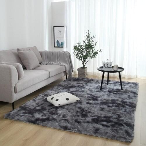 Mottled Tie Dyed Gradient Carpet Living Room Long Hair Washable Fashion Encryption Thickening Area Rug Window Bedside Blanket