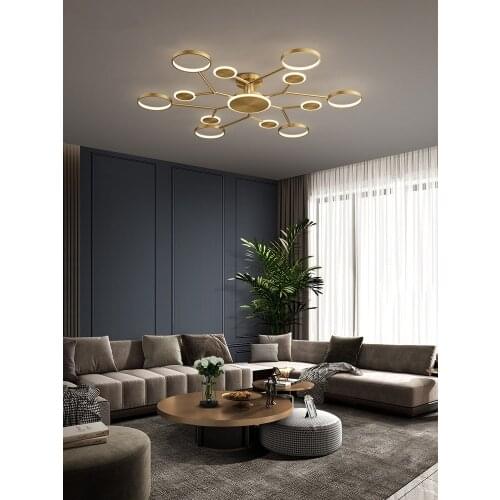 Nordic Modern Copper LED Ceiling Light Living Room Bedroom Dining Room Creative Ceiling Lamp Study Personality Ceiling Lighting