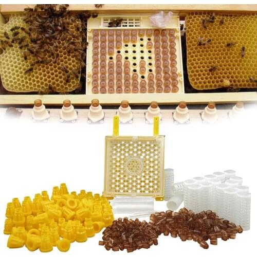 Germany Jenter Queen Rearing Kit Nicot Bee Queens Rearing System Queen Bee Larva Move Cage Goods Tool For Beekeeper Supplies