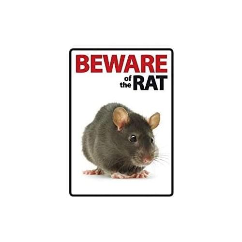 PUSSYCAT of Cute Rat Poster Funny Art Decor Vintage Aluminum Retro Metal Tin Sign Painting Decorative Signs CoffeeWallDecoration