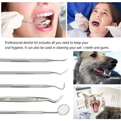 GTBL Dental Hygiene Kit 6 Pcs Dental tools Essential Calculus & Plaque Remover Set Dentist Prepared Tools Kit for Deep Teeth C