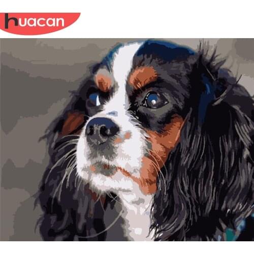 HUACAN Paint By Number Animal Drawing On Canvas Hand Painted Painting Art Gift DIY Pictures By Numbers Dog Kits Home Decor