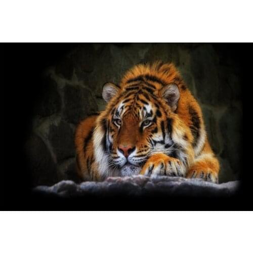 YOYOSMILE Cat Wall Stickers