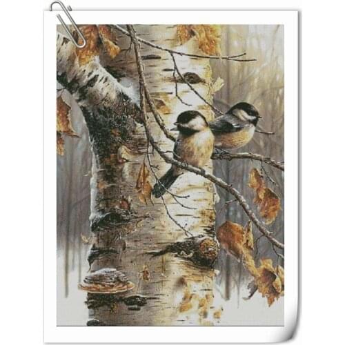 14/16/18/27/28 Counted Cross Stitch Kit Two Tomtit Tit Titmouse Sparrow on Birch Tree in Autumn Forest Birds of a Feather