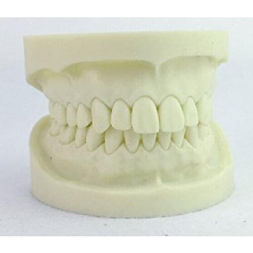 1pcs Dental New High Quality White Corundum Tooth Model Teaching Model New