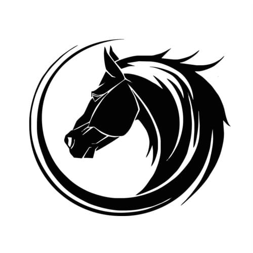 Horse Car Sticker Funny Cowboy Decal For Cars Auto Bumper Window Door Body JAYJOE Dropshipping Vinyl Car Stickers