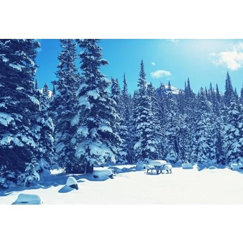 2020 Photophone winter forest photo background vinyl kids Xmas photography backdrop for photo studio kits accessories lv-2093