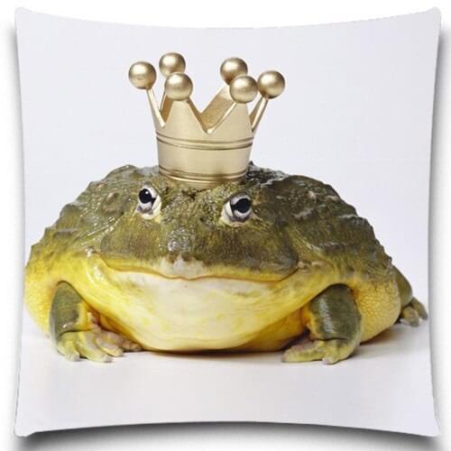 The Frog Prince and Dragonfly pattern Square Cushion Cover cotton polyester Home car sofa