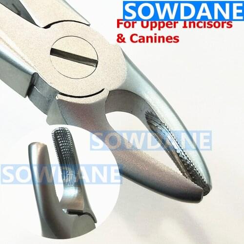 1 piece Dental Adult Tooth Extraction Plier For Anterior Front Tooth Stainless Steel Dental Surgery Forcep Instrume