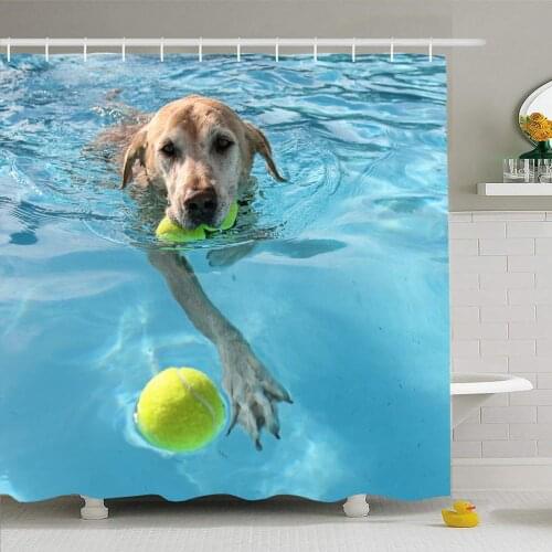 Pooch Yellow Labrador Dog Local Public Pool Mouth Parks Blue Summer Ball Lab Best Aquatic Waterproof Polyester
