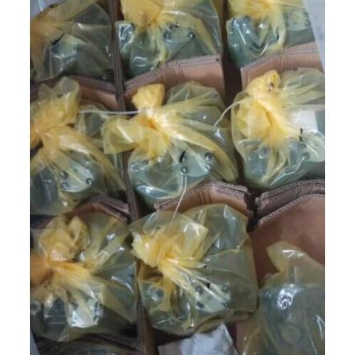 A10VSO100DR/31R-PPA12N00 new rexroth pump R910912007