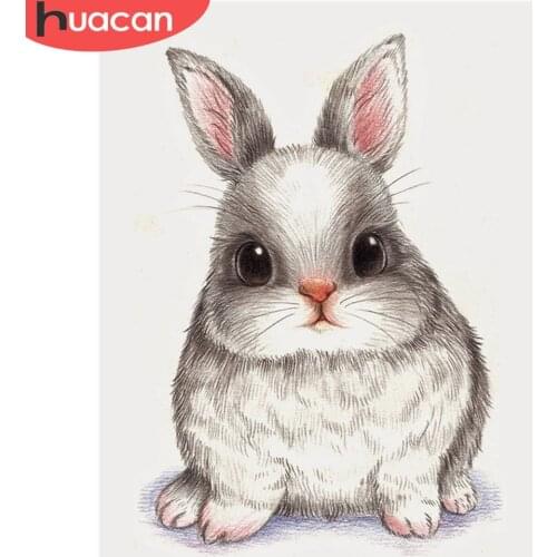 HUACAN Full Square/Round Diamond Painting Rabbit 5d DIY Diamond Embroidery Animal Mosaic Handicraft Home Decor