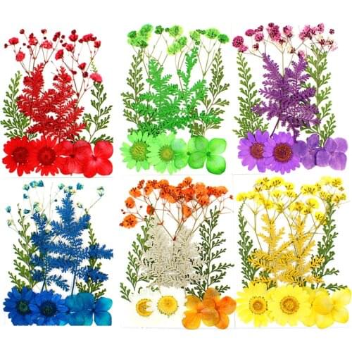 10Pcs/Set Pressed Flowers Yellow Red Orange Blue Green Real Dried Flowers DIY Resin Mold Fillings UV Epoxy For Jewelry Making