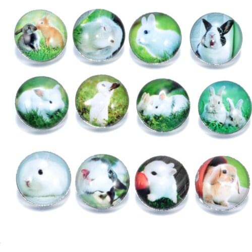 12pcs/lot Lovely Rabbit Pattern Charms 18mm Glass Snap Button For DIY Charms Bracelet 18mm Snaps Jewelry KZ0125