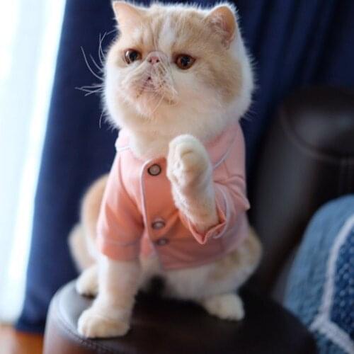 Cat Dog Clothes Dogs Jumpsuit Fashion Pajamas for Dogs Chihuahua Ropa Perro Small Dog Clothing Pet Overalls Bulldog