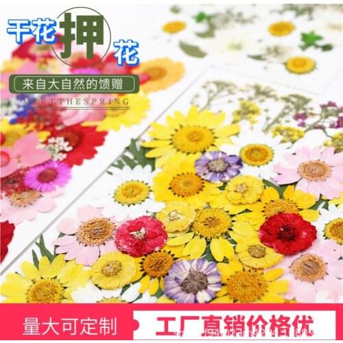 2020 Fashion Dried Flowers 30-40 pcs Diy Flower Making for Jewelry