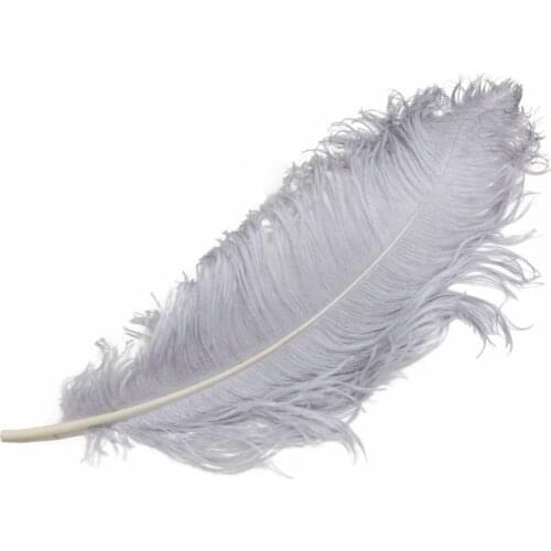50PCS ostrich feather natural white ostrich plumage 50-55 cm / 20 to 22 inches wedding performance art plumes weeding decoration