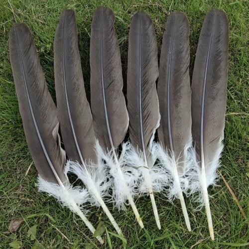 Wholesale 50pcs Rare 40-50 cm/16-20 inch Natural Pheasant Feather For Wedding Christmas Home Craft New Year