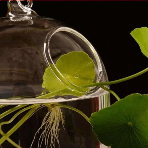 Vase Vases Hanging Flower Glass Bottle Hydroponic Terrarium Home Decoration L