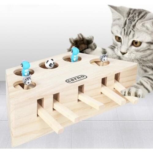 Cat Interactive Pet Cat Toy Play Catch Toy Playing Exercise Toys Pet Products