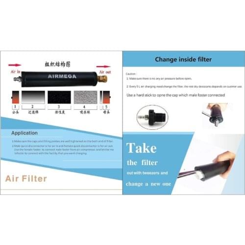 PCP Air Filter Compressor Oil-Water Separator High Pressure 40Mpa 300bar Pump C5AC