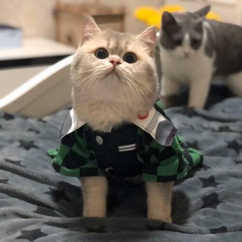 Pet photo props autumn and winter cat clothes Kimono bathrobe lovely dress pet supplies cat costume clothes