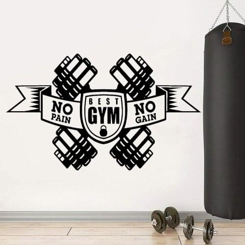 Gym Wall Decals No Pain No Gain Office Inspirational Quotes Wall Stickers Home Decoration Fitness Centre Shop Window Door Z055