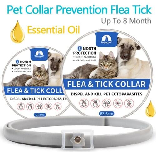 Dogs Cats Flea and Tick Prevention Collar Up To 8 Month Pet Dog Cat Collar Essential Oil Anti-mosquito & Insect Repellent Puppy