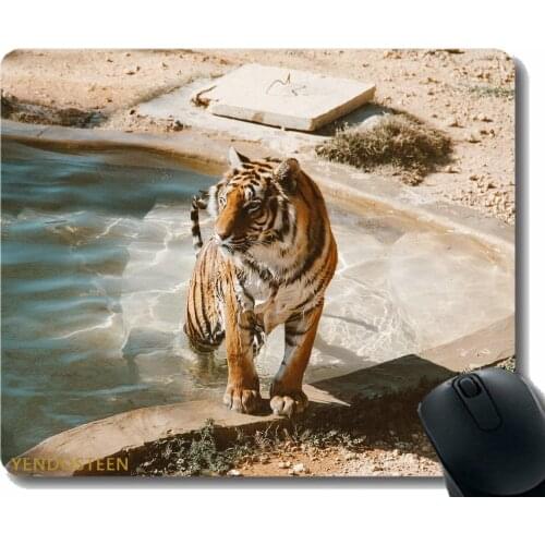 Mouse Pad,Tiger Pool Big Cat 125600 Mouse Pads