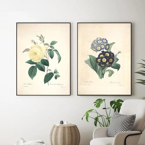 Botanical Studies Canvas Painting Vintage Posters and Prints French Plant Illustrations Botany Wall Art Pictures Decor Unframed