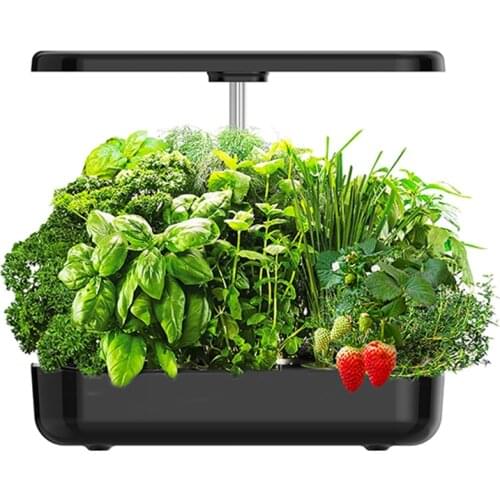 Coolcells Plant Lamps